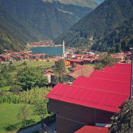 Horio Villa Uzungöl Eksteriør bilde