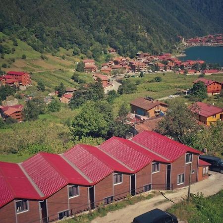 Horio Villa Uzungöl Eksteriør bilde