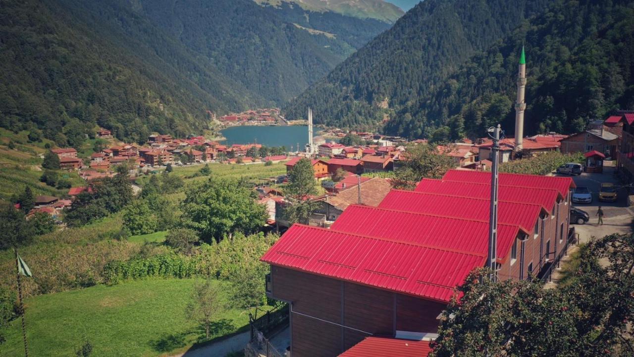 Horio Villa Uzungöl Eksteriør bilde