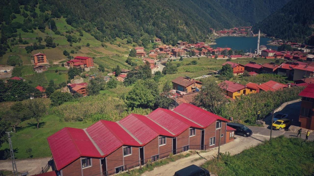 Horio Villa Uzungöl Eksteriør bilde