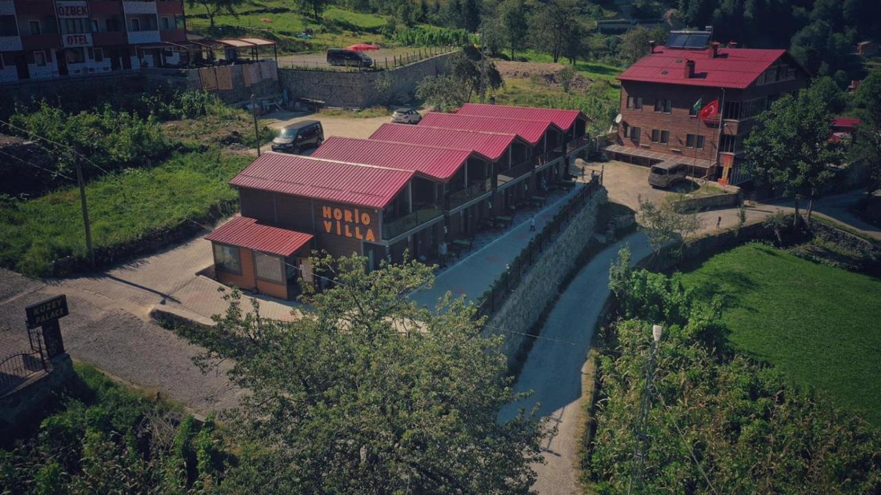 Horio Villa Uzungöl Eksteriør bilde