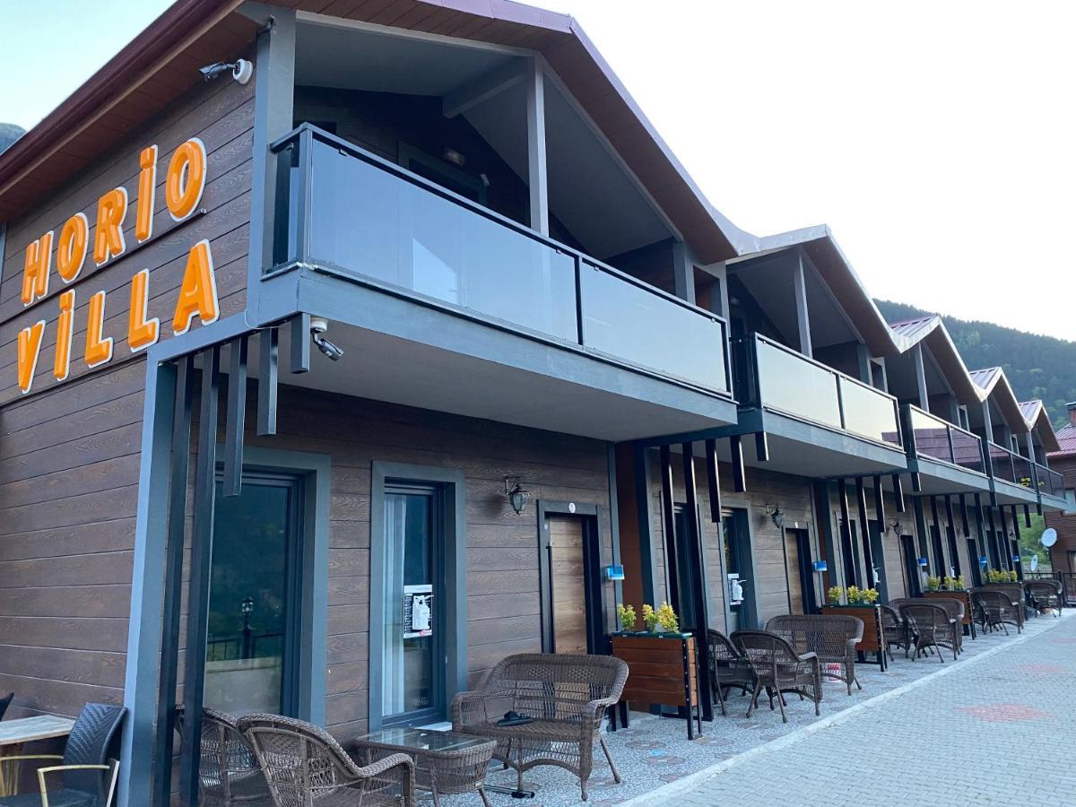 Horio Villa Uzungöl Eksteriør bilde